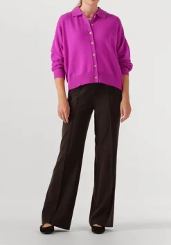 ABSOLUT CASHMERE majura paars Discount