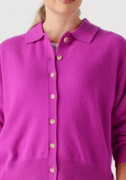 ABSOLUT CASHMERE majura paars Discount