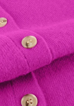 ABSOLUT CASHMERE majura paars Discount