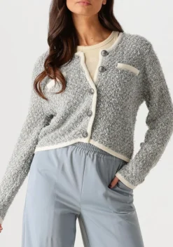 GESTUZ e vest gznalin cardigan blauw Sale