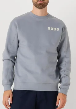 THE GOODPEOPLE blauwe sweater lteddy lichtblauw Discount