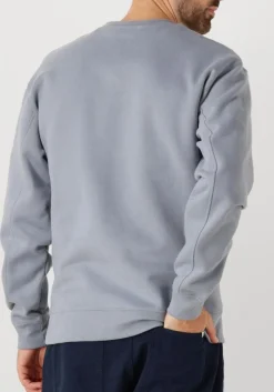 THE GOODPEOPLE blauwe sweater lteddy lichtblauw Discount