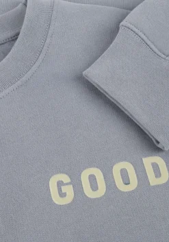 THE GOODPEOPLE blauwe sweater lteddy lichtblauw Discount