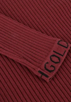 GOLDBERGH coltrui mira long sleeve knit sweater bordeaux New
