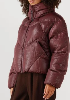 KRAKATAU gewatteerde jas qw531 bordeaux Clearance