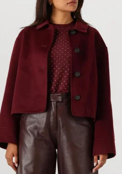 STUDIO AR teddy jas nicolina bordeaux Best