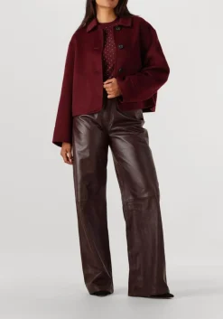 STUDIO AR teddy jas nicolina bordeaux Best