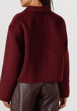 STUDIO AR teddy jas nicolina bordeaux Best