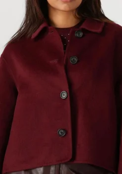 STUDIO AR teddy jas nicolina bordeaux Best