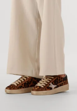 AMA BRAND DELUXE e lage sneakers slam bruin Best