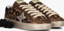 AMA BRAND DELUXE e lage sneakers slam bruin Best