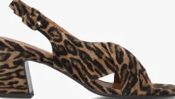 BILLI BI e slingbacks a8378 bruin Online