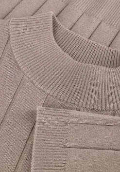 BRUUNS BAZAAR e trui bbglady knit bruin New