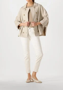 CLOSED e top crewneck shortsleeve bruin Hot