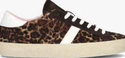 D.A.T.E e lage sneakers hill low bruin Online