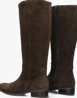 GABOR e hoge laarzen 901 bruin Hot