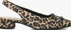 GABOR e slingbacks 521 bruin Online