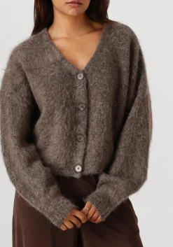 GESTUZ e vest gzdebbie cardigan bruin Online