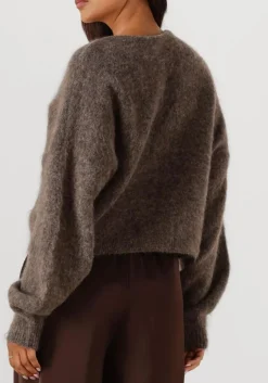 GESTUZ e vest gzdebbie cardigan bruin Online