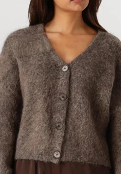 GESTUZ e vest gzdebbie cardigan bruin Online