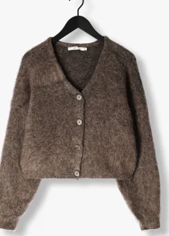 GESTUZ e vest gzdebbie cardigan bruin Online