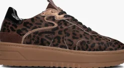 HABOOB e lage sneakers filou bruin Outlet