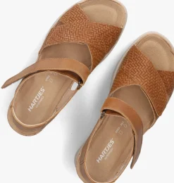 HARTJES e sandalen met hak jazz bruin Discount