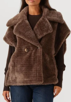 IBANA e teddy jas jaxey bruin Discount