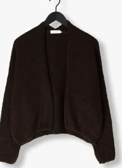 KNIT-TED e vest becky bruin Outlet