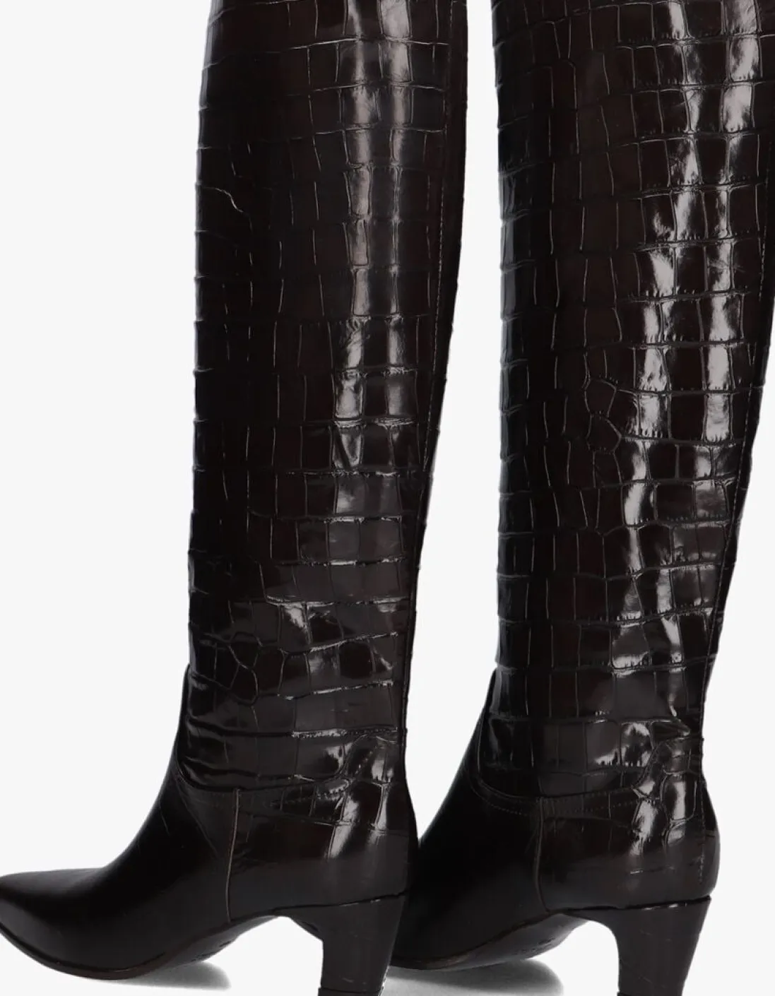 LINA LOCCHI e hoge laarzen mw508 bruin New