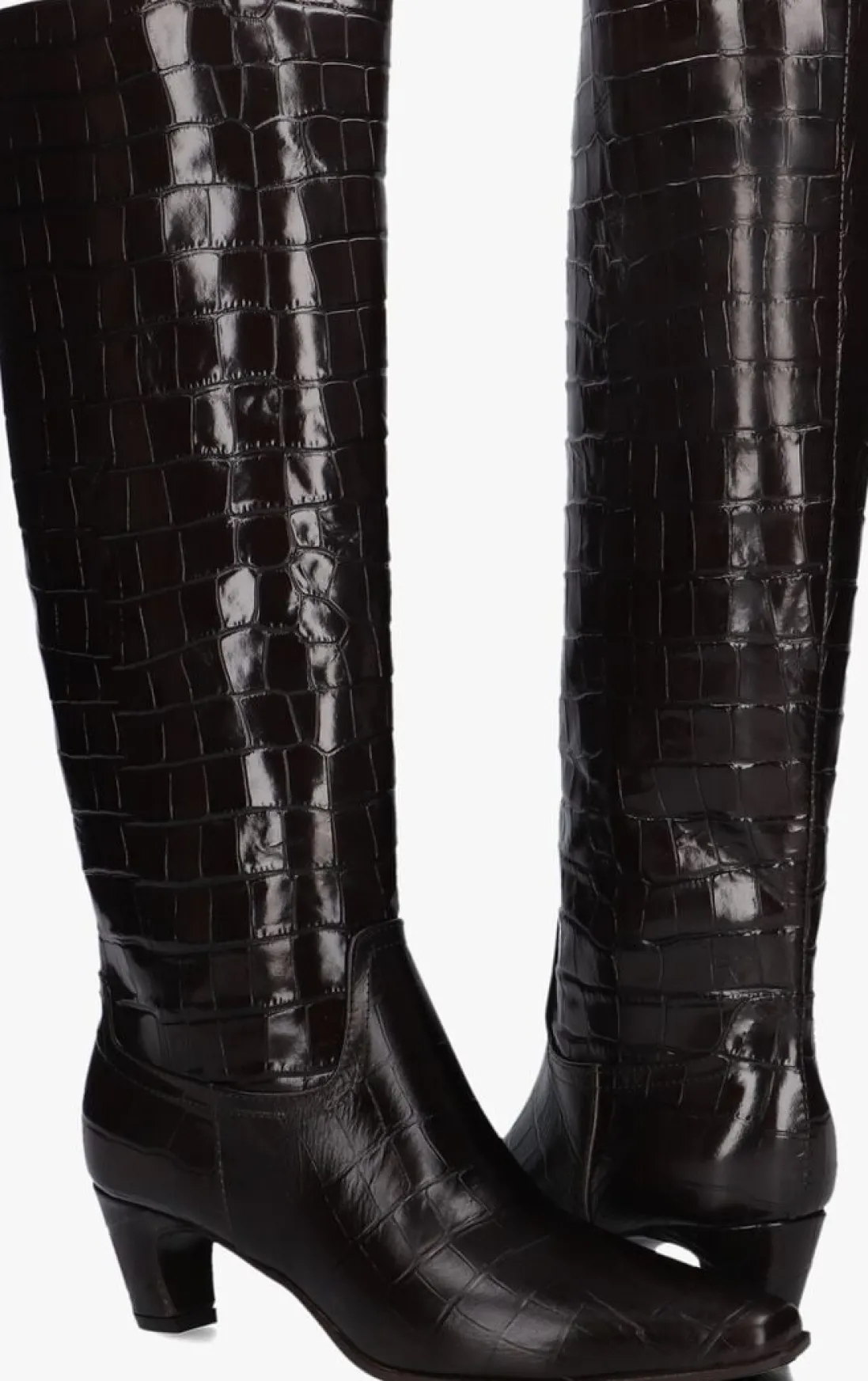 LINA LOCCHI e hoge laarzen mw508 bruin New