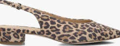 PETER KAISER e slingbacks 79441 bruin Online