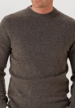 PROFUOMO e trui pullover crew neck woolblend bruin Online