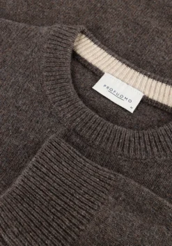 PROFUOMO e trui pullover crew neck woolblend bruin Online