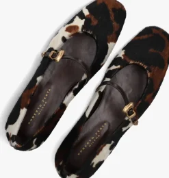 ROBERTO FESTA e ballerina's grisel bruin