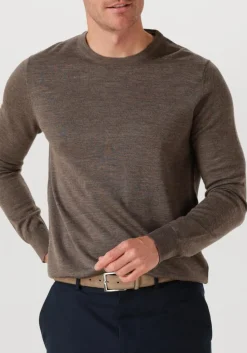 STEFANO LAURAN e trui crew bruin Hot