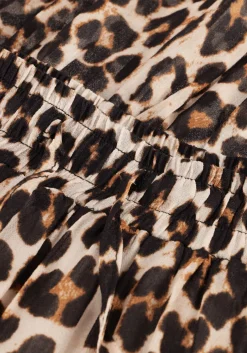 SUNCOO e midirok fado bruin Online