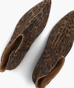 TORAL e enkellaarsjes belinda bruin New