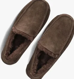 UGG e pantoffels ascot bruin Best