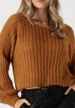 AMAYA AMSTERDAM trui ace knitwear camel Clearance