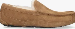 UGG pantoffels ascot cognac New