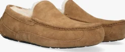 UGG pantoffels ascot cognac New