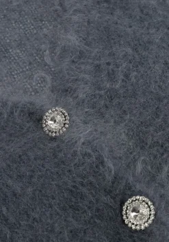 AMAYA AMSTERDAM donkergrijze vest roos knitwear donkergrijs Clearance