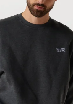 AMERICAN VINTAGE donkergrijze trui doven h donkergrijs Clearance