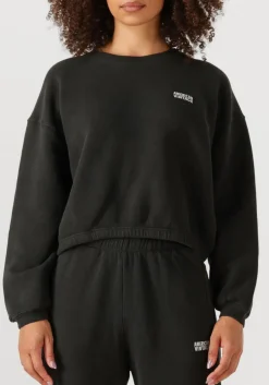 AMERICAN VINTAGE donkergrijze sweater izubird d donkergrijs Discount