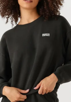 AMERICAN VINTAGE donkergrijze sweater izubird d donkergrijs Discount