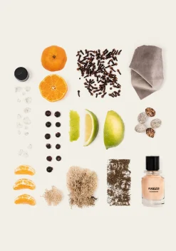 FUGAZZI parfum sugardaddy 100ml - extrait de parfum kleur n.v.t. Sale