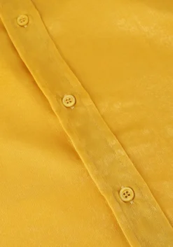 AMAYA AMSTERDAM gele blouses coco blouse geel Hot