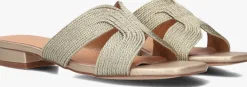 AYANA en slippers 0677-1 goud Hot
