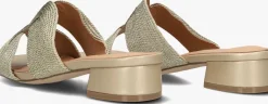 AYANA en slippers 0325-8 goud New